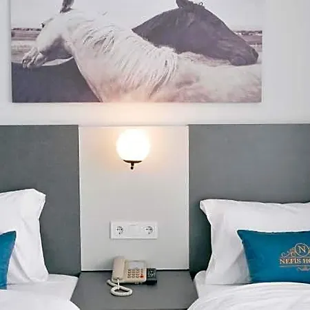 Hotel Nefis 3*